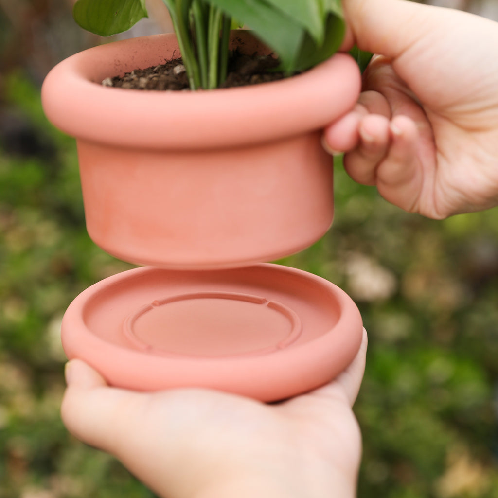 Place the pink Short Botanic Column Plant Pot with plants on the pot holder-Boowan Nicole