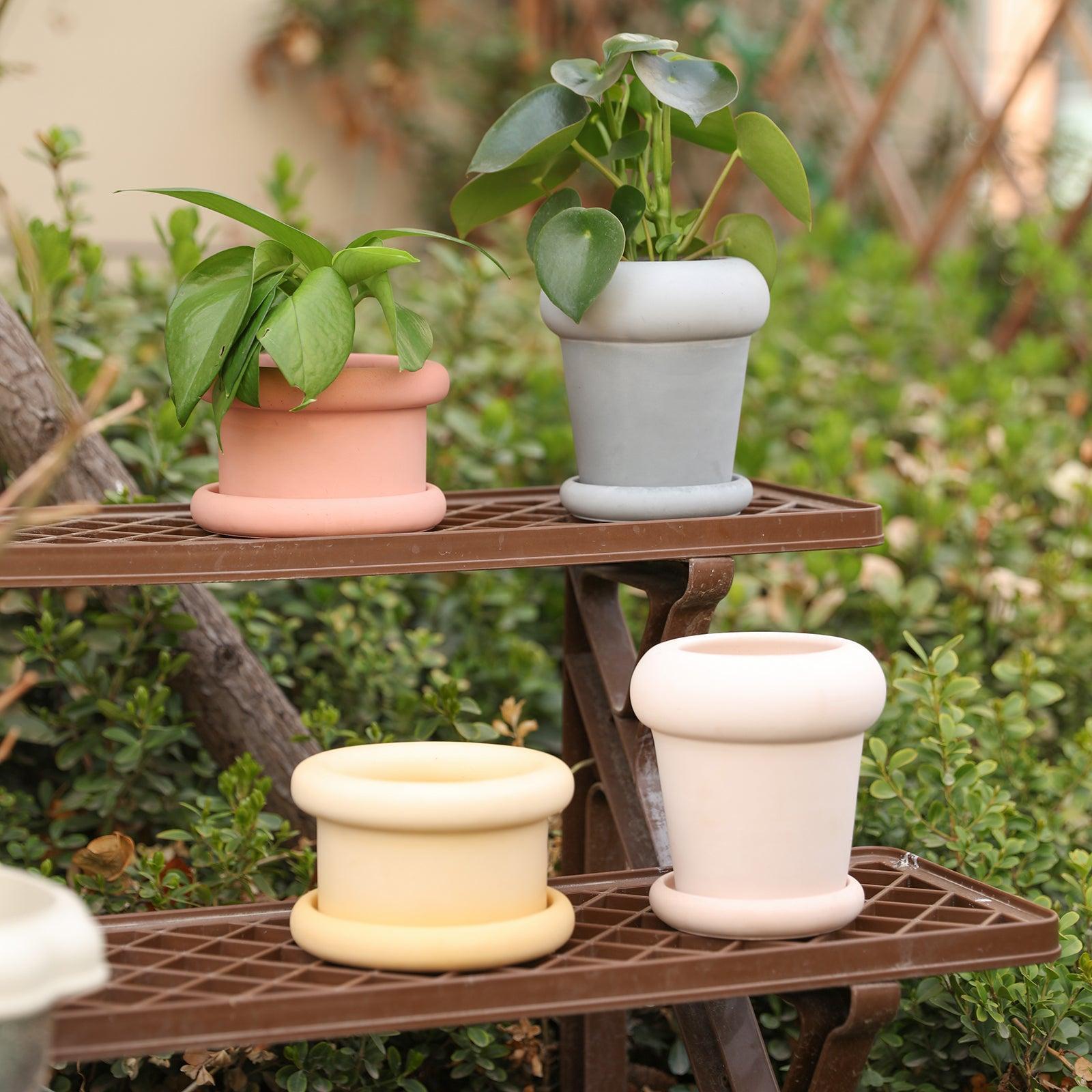 Two styles of Plant Pot-Boowan Nicole on the flower stand