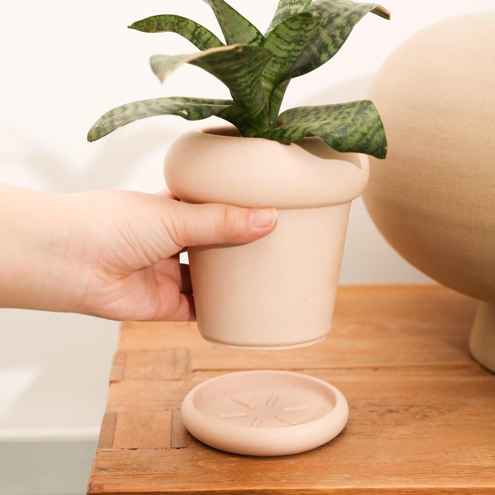 Place the pink Tall Botanic Column Plant Pot on the table pot holder - Boowan Nicole