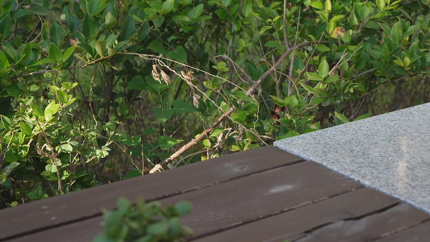 Загрузить видео: Video showing retro car-shaped plant pot design-Boowan Nicole