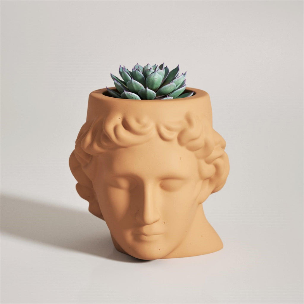 Apollo Head Statue Concrete Plant Pot Silicone Mold - Boowan Nicole
