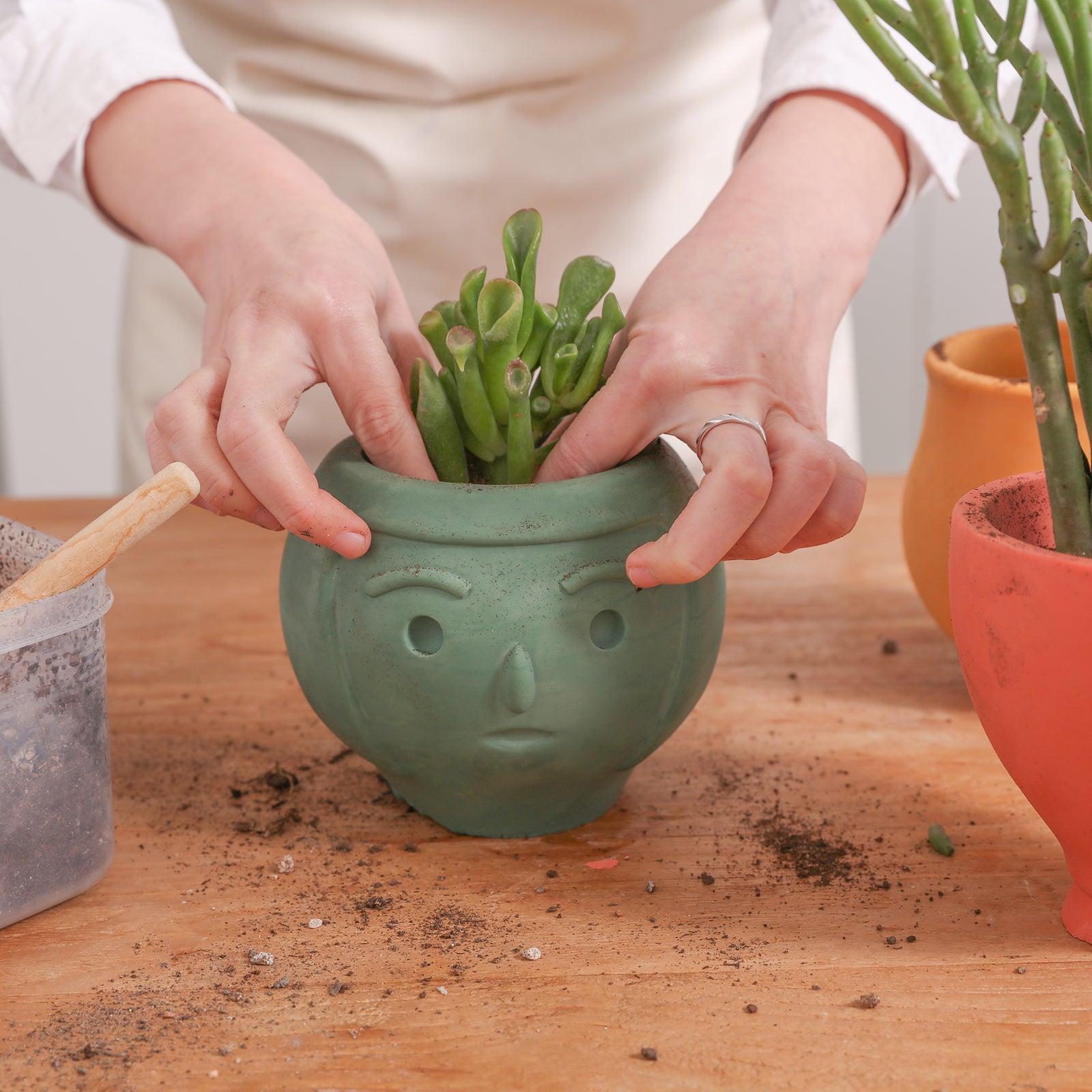 concrete plant pot mold Love Family Concrete Plant Pot Silicone Mold Lily