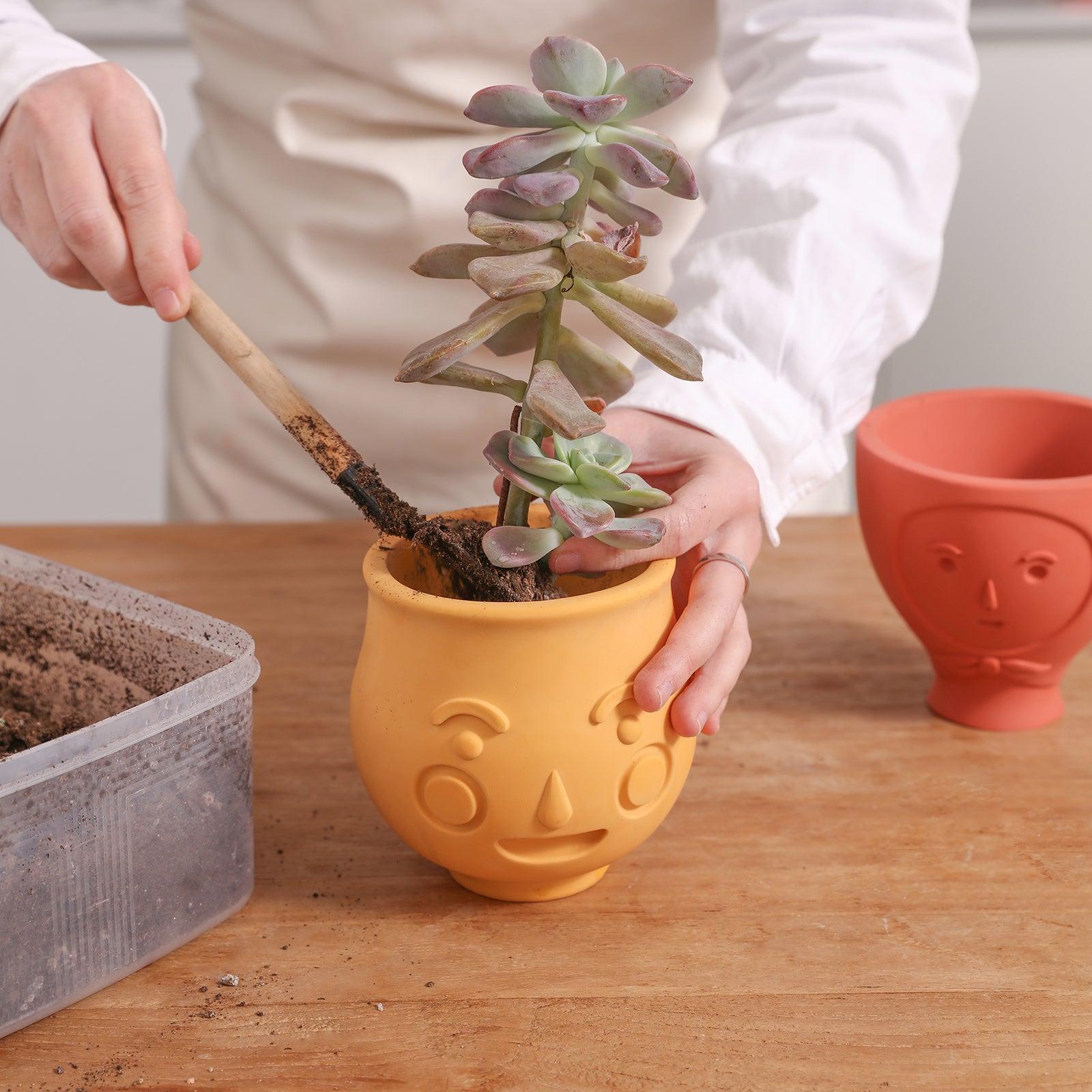 home-decoration-concrete-cement-resin-cure-face-head-garden-flower-succulant-planter-flower-pot-vase-candle-jar-silicone-molds-2